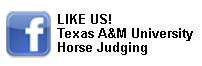 FB-horse-juging