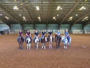 summer-horsemanship-clinics-2015-group-pic
