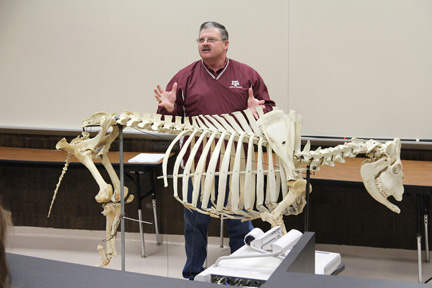 Dr. Davey Griffin, associate professor and Extension meat specialist, uses the cow skeleton to show where meat cuts comes from.