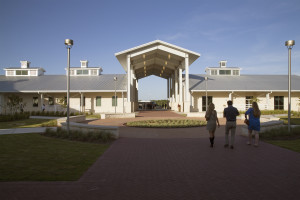 Equine Complex