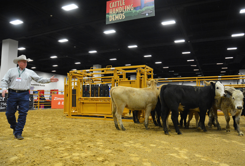 Dr. Ron Gill speaking about proper cattle handling