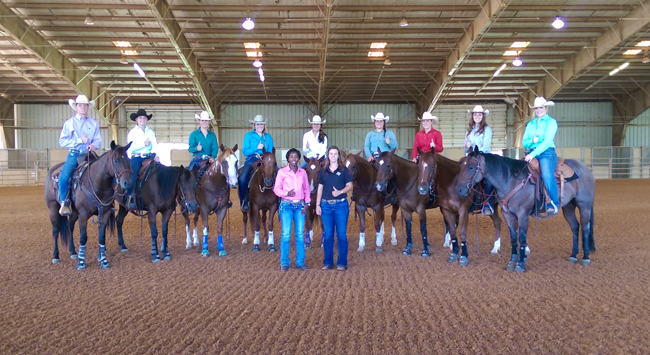 2015-16-Stock-Horse-Team