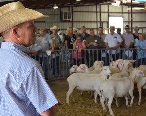 Wesley Glass, Sterling City rancher, discusses a group of ewes during the hair sheep session of the inaugural Texas Sheep and Goat Expo at the San Angelo Fairgrounds. (Texas A&M AgriLife Communications photo by Steve Byrns)