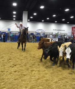 Dr. Ron Gill, Texas A&M AgriLIfe Extension Service beef cattle specialist and associate department head for the department of animal science at Texas A&M University in College Station, demonstrates roping techniques during a cattle handling demonstration at the 2016 Texas and Southwestern Cattle Raisers Association Convention in Fort Worth. He was joined by Curt Pate of Curt Pate Stockmanship. (Texas A&M AgriLife Extension Service photo by Blair Fannin)