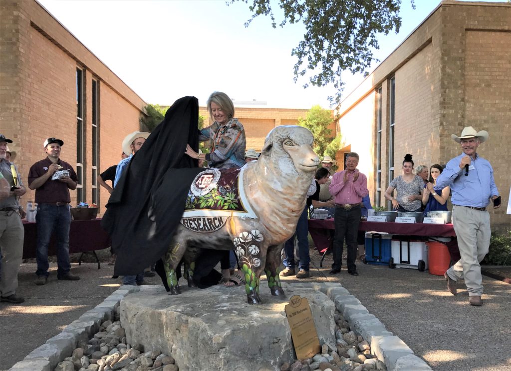 Molly Walker, wife of center director John Walker, Ph.D., unveiled the center’s sheep statue during the field day. (AgriLife Extension photo by Blair Fannin)