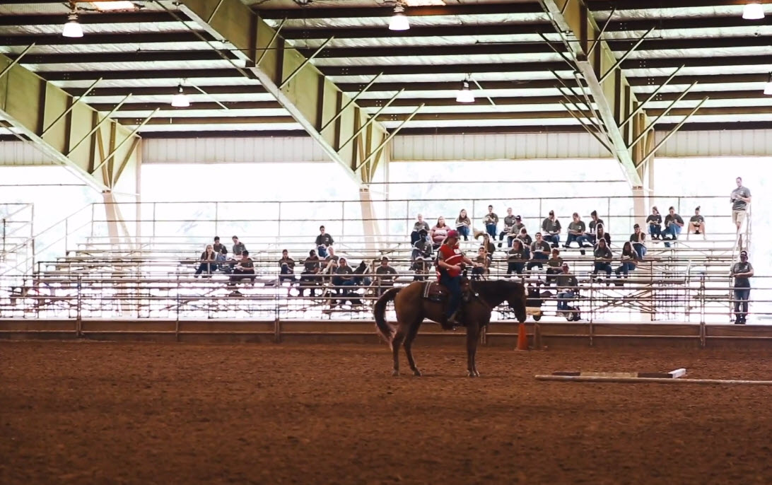 horse & rider in arena while horse judging camp attendees look on