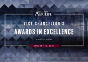 Vice Chancellor's Awards in Excellence