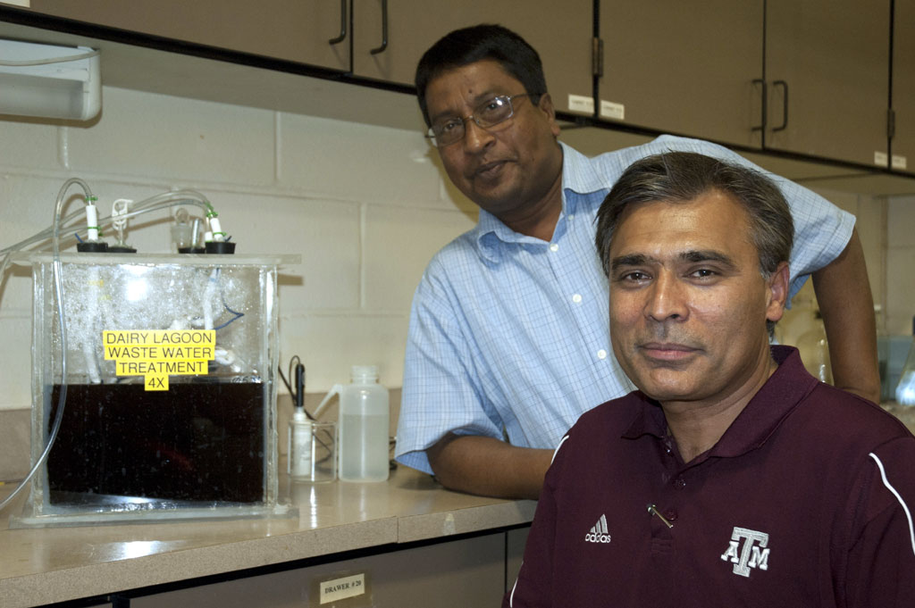 Dr. Saqib Mukhtar, (foreground) Texas AgriLife Extension Service engineer, and Dr. MD Borhan, Texas AgriLife Research scientist, pose with a lab-bench scale test of a process that can extract 50 percent of the dissolved ammonium in liquid manure in 20 days. (Texas AgriLife Extension Service photo by Robert Burns)