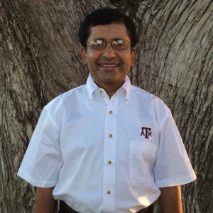 Dr. Anish Jantrania (Texas A&M AgriLife Research photo by Dr. Tom Gerik)