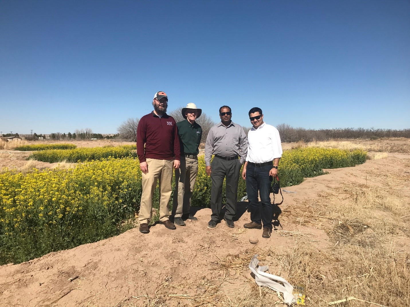 Four men are standing outside on dirt with yellow wildflowers in the background.