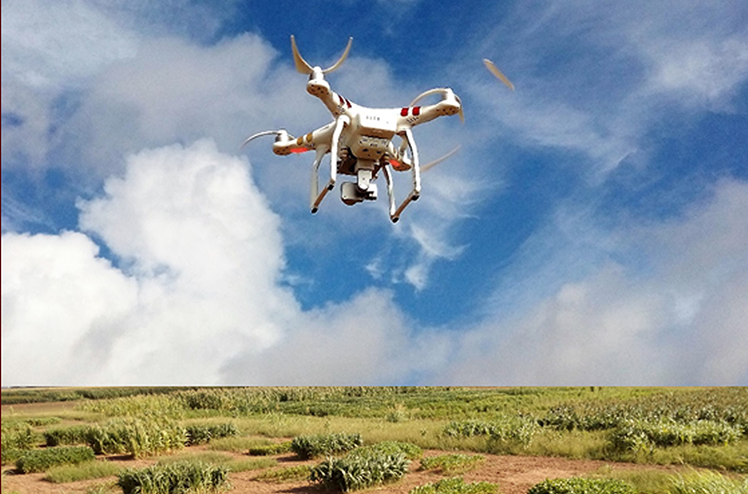 Drone flying over research plots