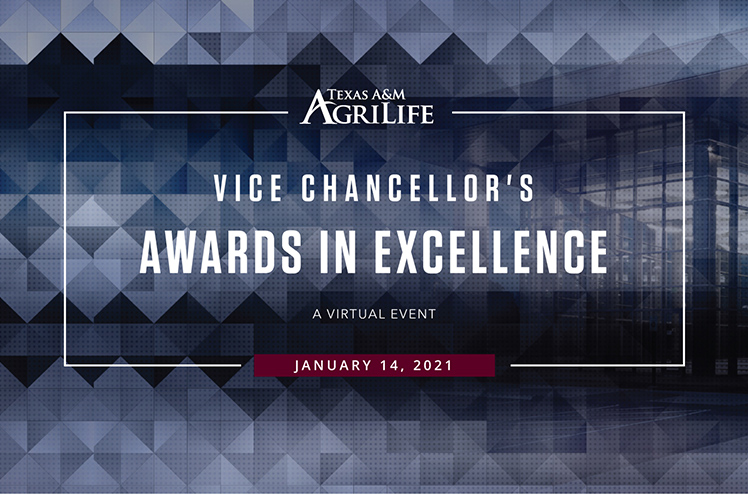 Vice Chancellor's Awards Graphic