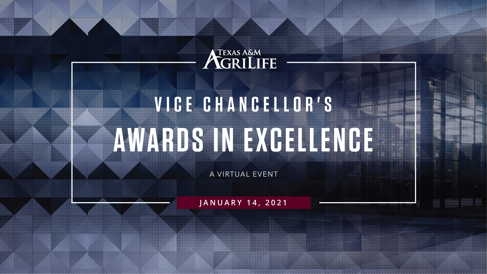 Vice Chancellor Award in Excellence graphic