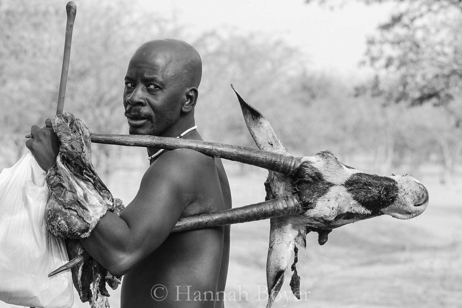 A Himba bushman totes home the head and entails of an orxy to feed himself and his family. This is just one of the many examples of game meat consumed on a regular basis by indigenous Namibians.