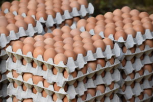 A local chicken farm produces more than 5,000 fresh eggs weekly.