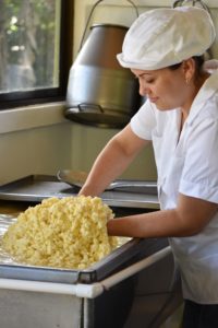 Chrisley’s wife, Patricia, prepares cheese curds to make fresh mozzarella.