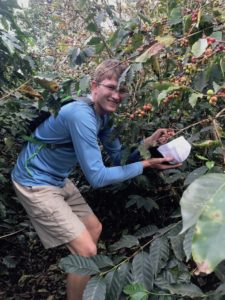 Texas A&M student picking coffee beans.