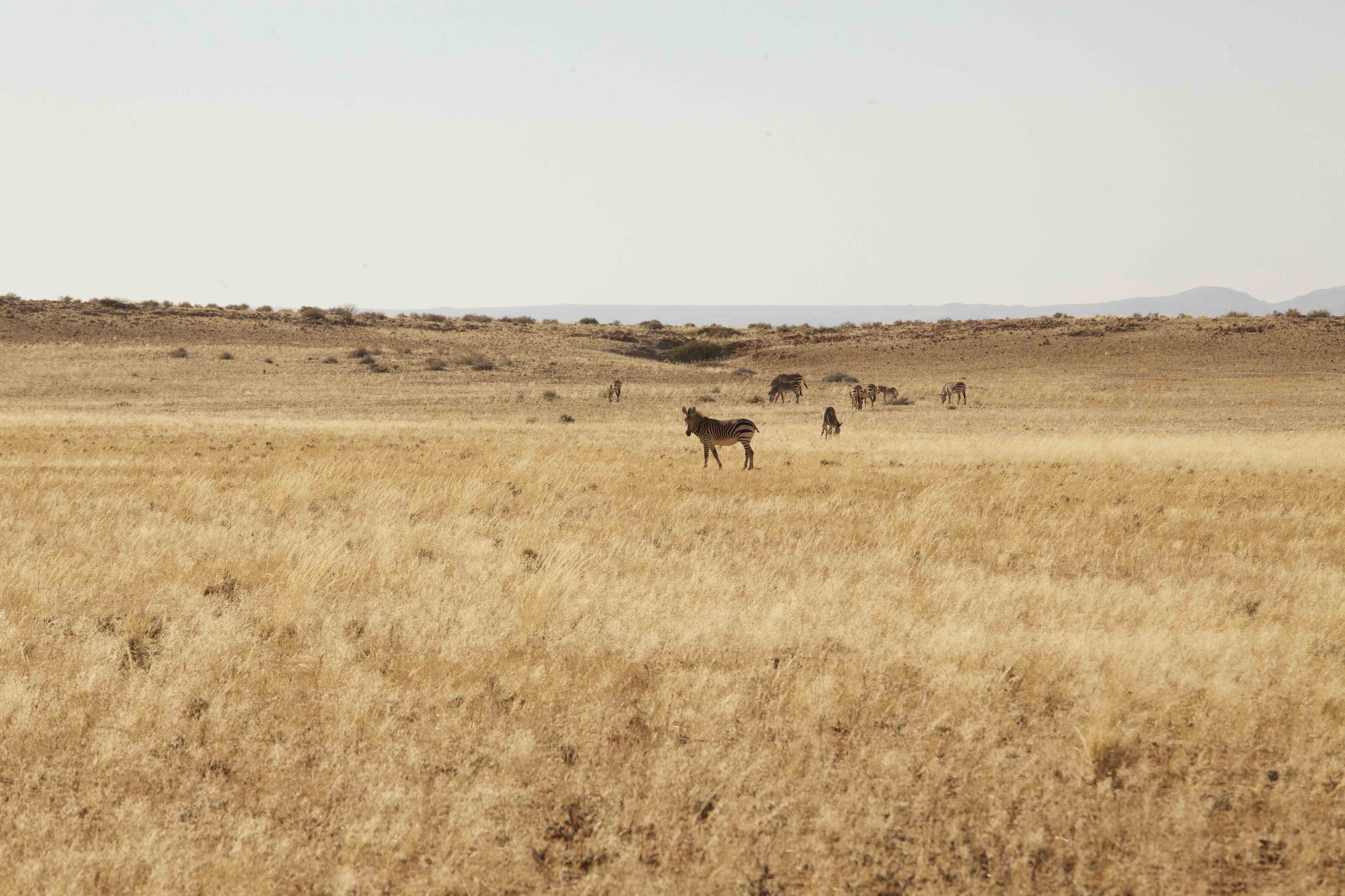 communal-land-in-namibia