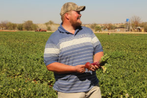 Farmer Jimmy O’Kennedy discusses numerous factors he monitors while growing beetroots. Patria Farms grows a wide variety of fruits and vegetables, such as tomatoes, peppers, carrots, oranges, green beans, lettuce, broccoli, and melons for more than 40 years. 