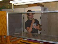 dooley_clip_image002