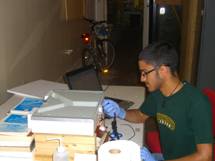 frankortiz_clip_image002