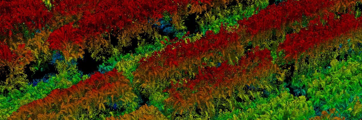 Sorghum 3D point cloud generated using structure from motion methods