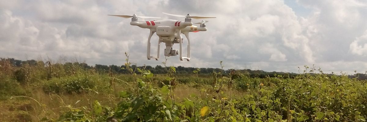 uav_weeds2