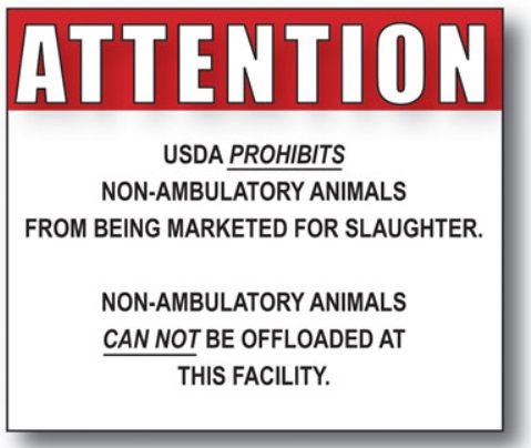 ATTENTION: USDA PROHIBITS non-ambulatory animals from being marketed for slaughter.  Non-ambulatory animals CAN NOT be offloaded at this facility.