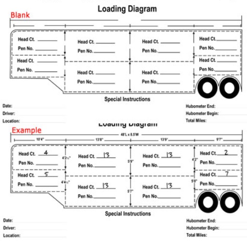 2 versions of a loading diagram form - the 1st is blank, showing the head count and pen number for each section of the trailer. The 2nd version is an example of how the form above should be filled out