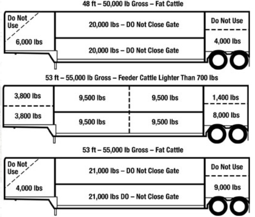 3 trailer diagrams; 1st showing the proportion of allowable weight of a 48 ft, 50,000 lb gross weight of fat cattle.  2nd diagram shows the proprotion of a 53 ft, 55,000 lb gross weight 0f feeder cattle lighter than 700 lbs. 3rd table shows a trailer's proportions of a 53 ft 55,000 lb gross weight of fat cattle