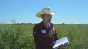 Dr. Clark Neely, Texas A&M AgriLife Extension Serivce state small grains and oilseeds specialist, is working with producers across the state interested in canola. (Texas A&M AgriLife Communications photo by Kay Ledbetter)
