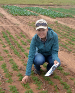 Dr. Emi Kimura in lentil field