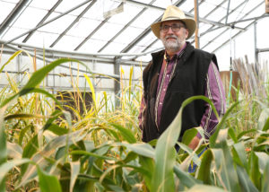 Bill Rooney in greenhouse