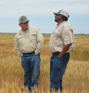 Rudd and Ibrahim in wheat field