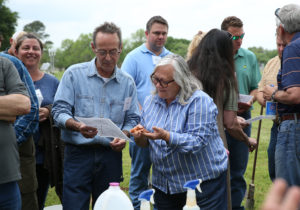 people with soil in their hands