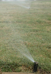 lawn sprinkler spraying water