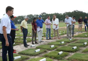 people looking at plots with small squares of different grasses