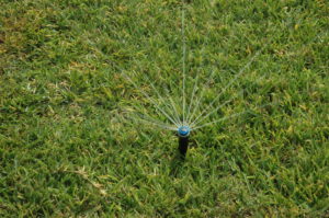 in-ground sprinkler watering lawn grass