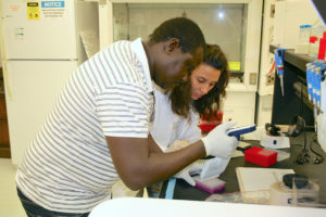 Dr. Naoura working in lab