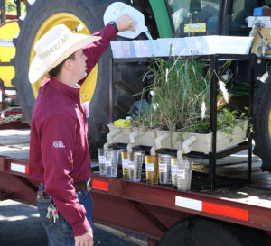 man pouring water into trays with different types of ground cover