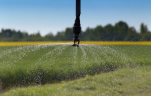 sprinkler head with crops in background