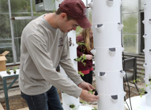 two students putting seedlings in towers