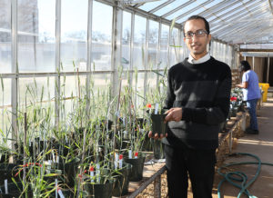 man in greenhouse holding potted ryegrass
