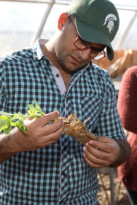 man looking at bare roots of a plant