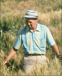 Norman Borlaug in wheat field